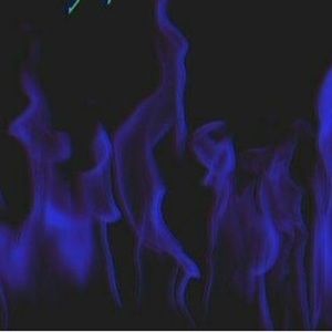 Meet your Posher, Alanna